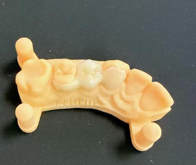 Шта треба да знате о Мериленд Бриџсима?